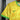 MAILLOT BRESIL CONCEPT 2024/2025