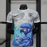 MAILLOT BRESIL 2025-2026 EDITION SPECIALE