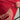 MAILLOT REAL MADRID CONCEPT DRAGON ROUGE