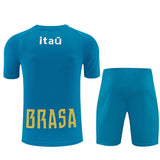 TRAINING ÉTÉ HAUT/BAS BRESIL 2026/2027
